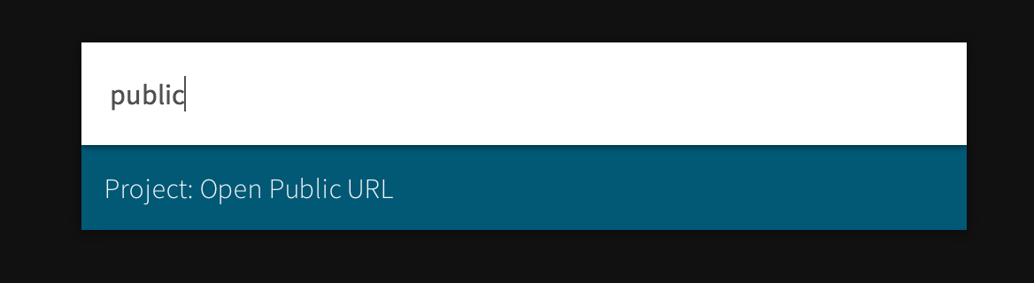 Photo with Public URL in Command Palette