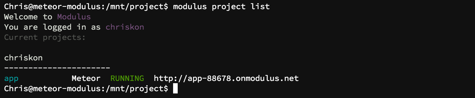 output of modulus project list command
